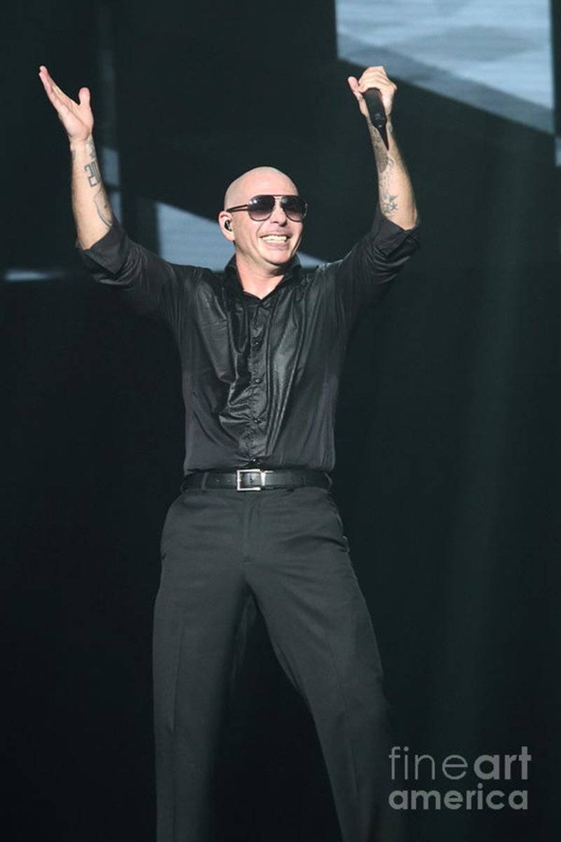 Pitbull - Rapper - Poster | Canvas Wall Art Print
