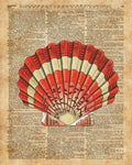 Red And White Ocean Sea Shell Dictionary Book Page Art - Poster | Canvas Wall Art Print