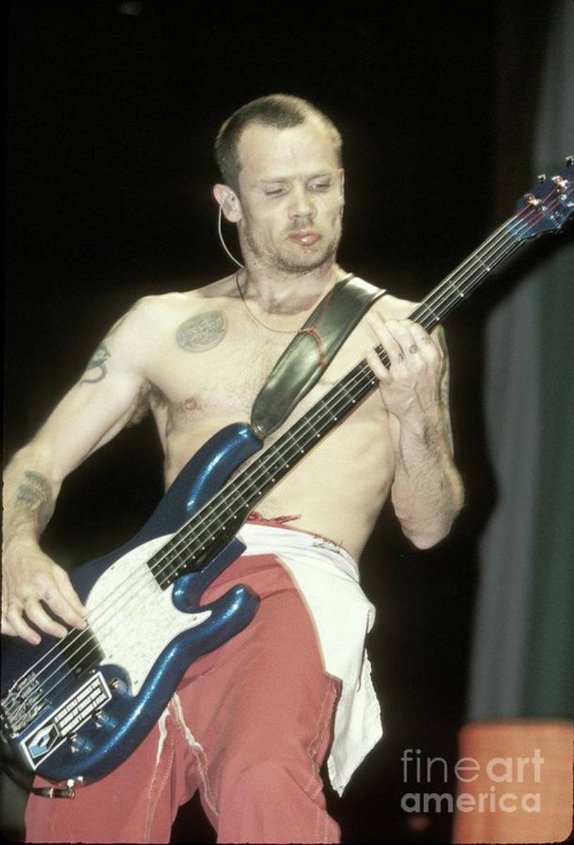 Red Hot Chili Peppers - Michael Balzary - Flea - Poster | Canvas Wall Art Print
