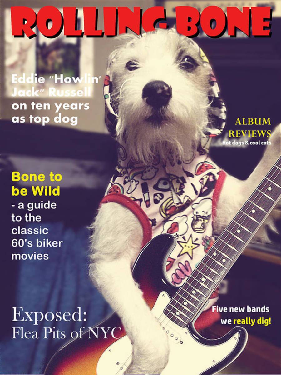 Rolling Bone Magazine - Poster | Canvas Wall Art Print