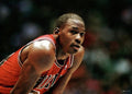 Rookie, Michael Jordan, Oil On Masonite - Poster | Canvas Wall Art Print