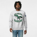 Philadelphia Eagles Disney x Champion Doctor Doom Doomsday Shirt