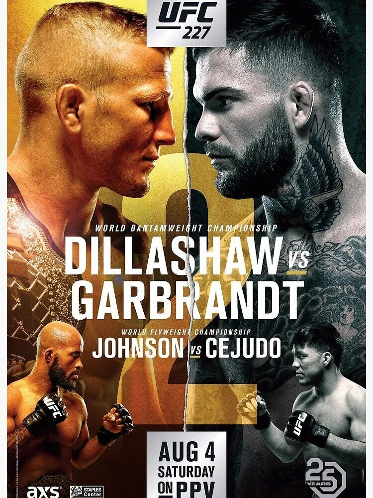 UFC 227 TJ Dillashaw vs. Cody Garbrandt 2 Johnson Cejudo 11x16 - Poster | Canvas Wall Art Print