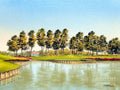 Sawgrass Tpc Golf Course 17Th Hole - Poster | Canvas Wall Art Print