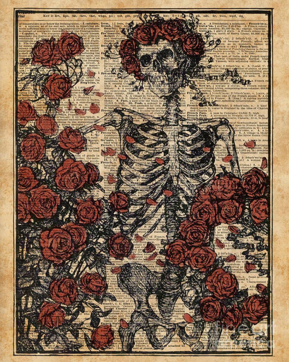 Skeleton Art, Skeleton With Roses Book Art,Human Anatomy - Poster | Canvas Wall Art Print