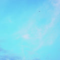 Sky - Poster | Canvas Wall Art Print