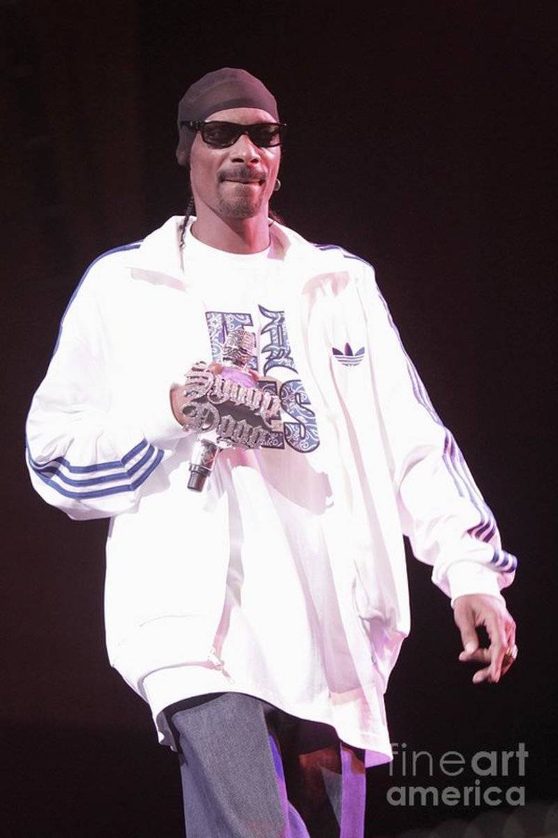 Snoop Dog - Rapper - Poster | Canvas Wall Art Print
