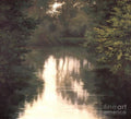 Solitude - Poster | Canvas Wall Art Print