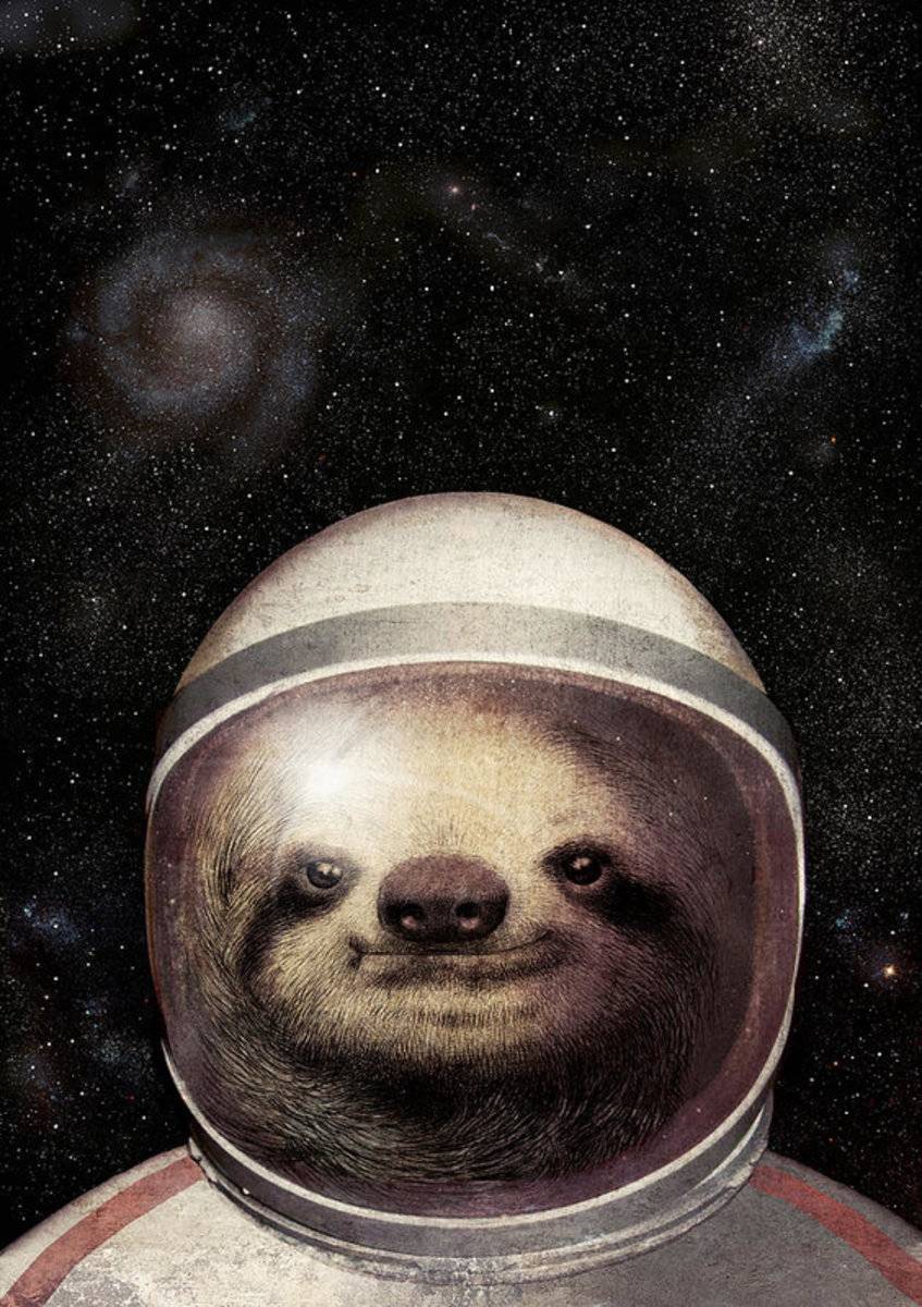 Space Sloth - Poster | Canvas Wall Art Print