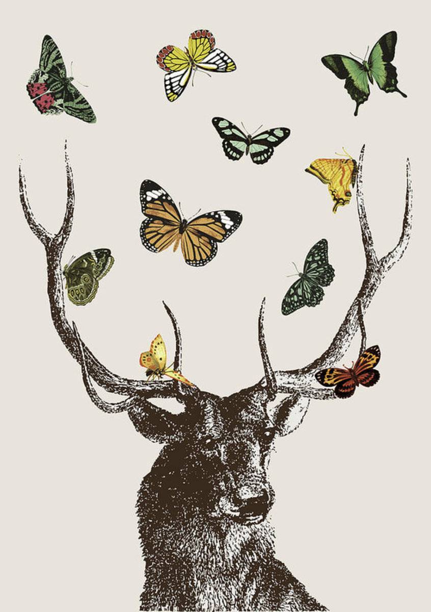 Stag And Butterflies - Poster | Canvas Wall Art Print