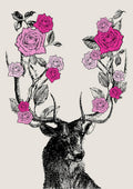 Stag And Roses - Poster | Canvas Wall Art Print
