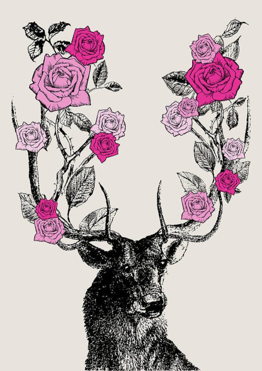 Stag And Roses - Poster | Canvas Wall Art Print
