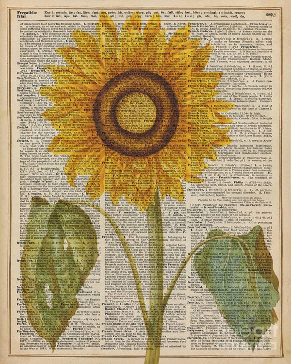 Sunflower Over Dictionary Page - Poster | Canvas Wall Art Print