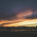 Sunset - Poster | Canvas Wall Art Print