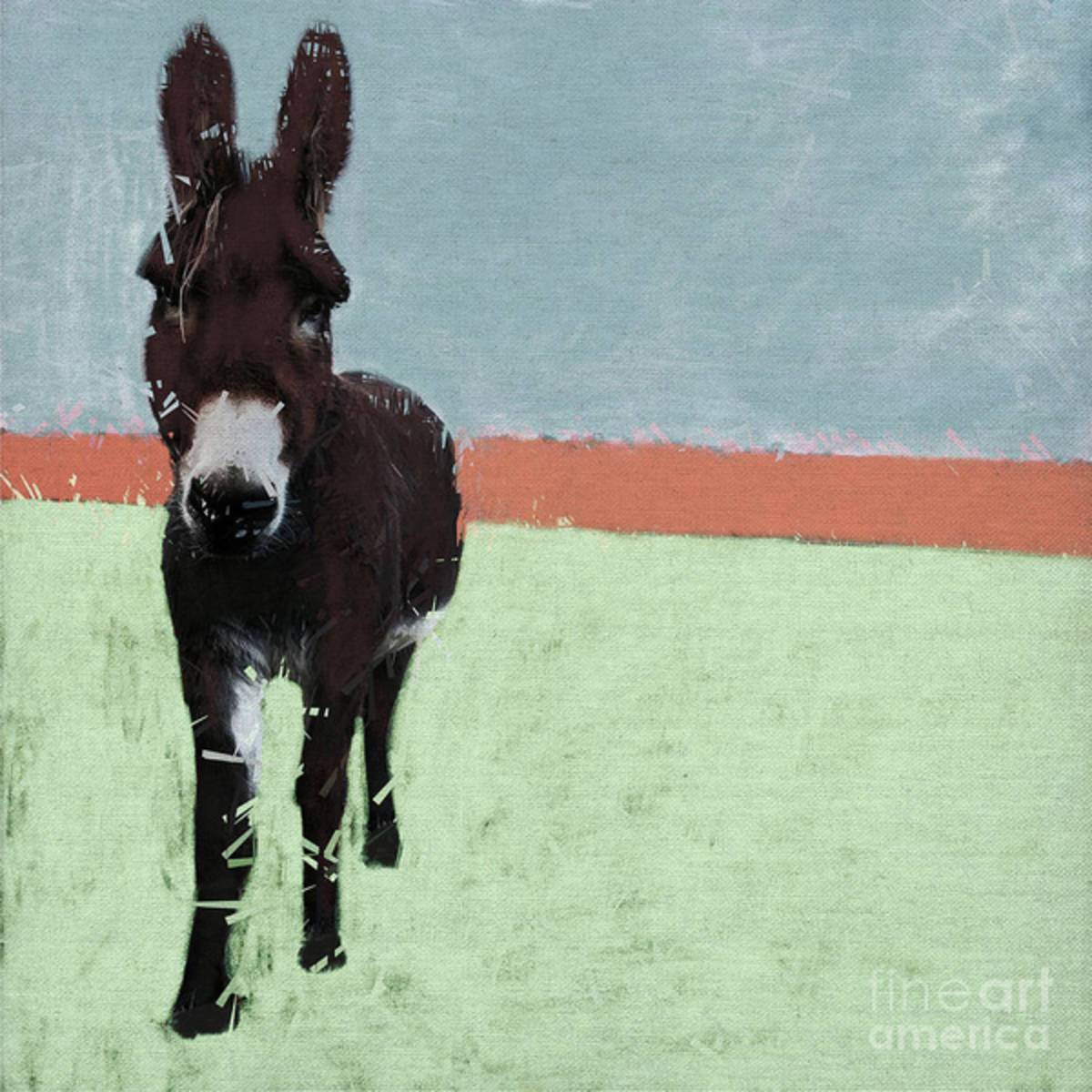 Sussex Donkey, 2019, Mixed Media - Poster | Canvas Wall Art Print