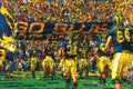 Take The Field - Poster | Canvas Wall Art Print