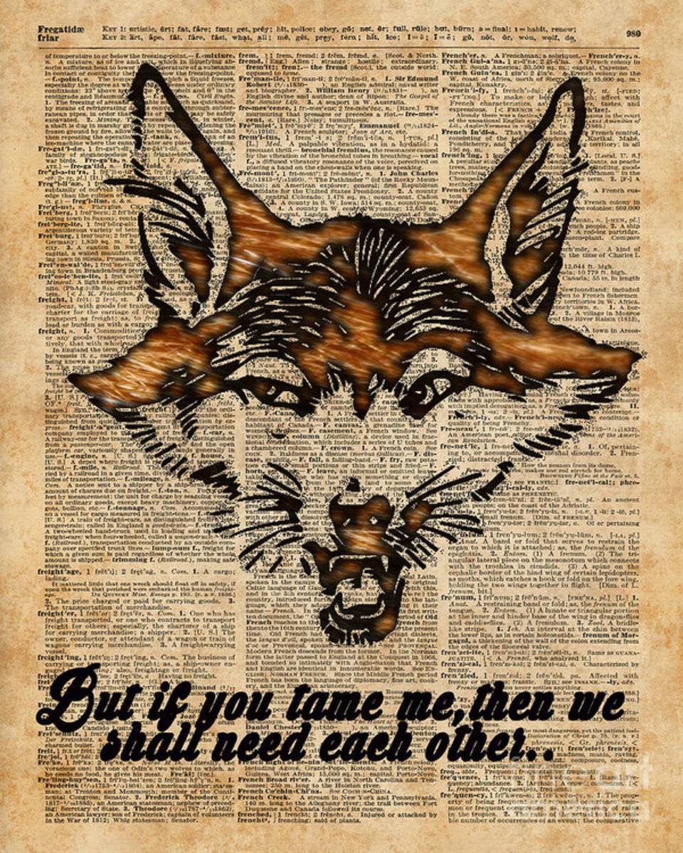 Tame Me - Fox Said. Dictionary Art - Poster | Canvas Wall Art Print