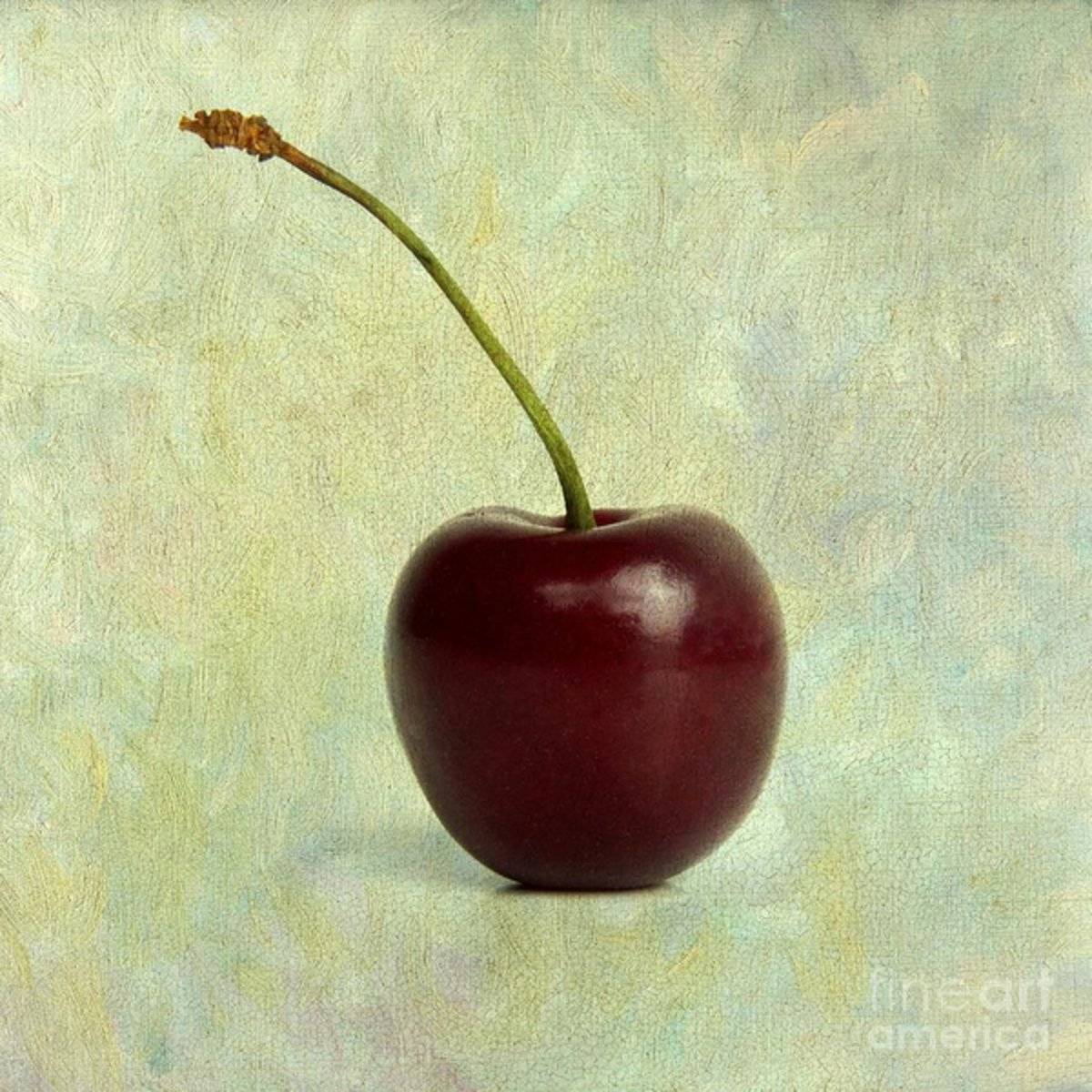 Textured Cherry. - Poster | Canvas Wall Art Print