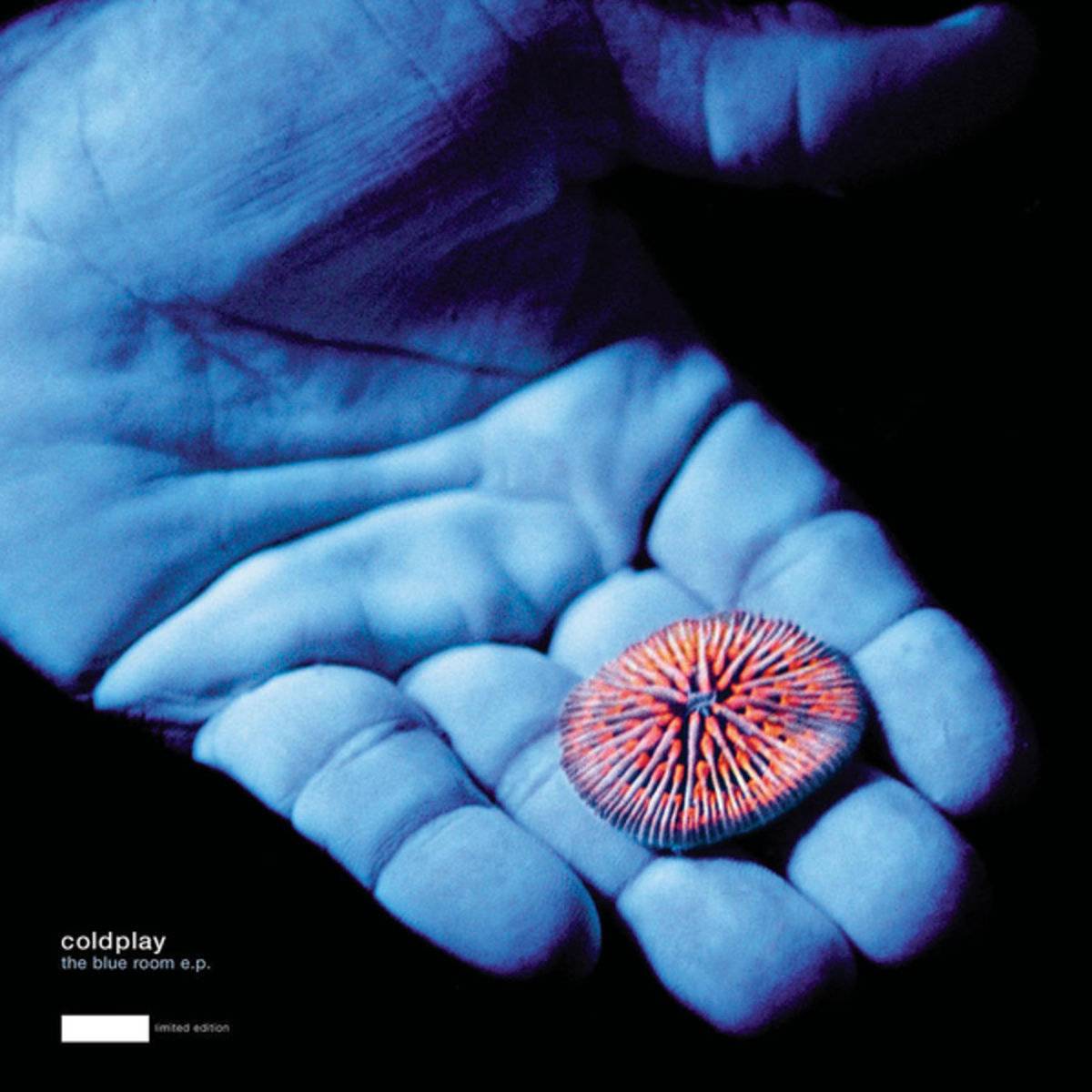 The Blue Room - Ep By Coldplay - Poster | Canvas Wall Art Print