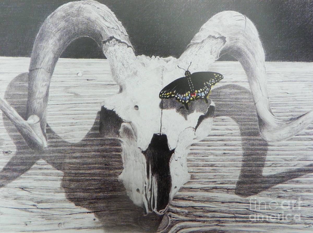 The Butterfly And The Skull - Poster | Canvas Wall Art Print
