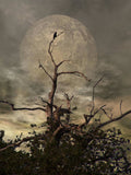 The Crow Tree - Poster | Canvas Wall Art Print