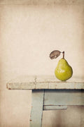 The Exhibitionist - Poster | Canvas Wall Art Print