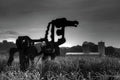 The Iron Horse Classic Black White Sculpture Art - Poster | Canvas Wall Art Print