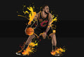 The King James - Poster | Canvas Wall Art Print