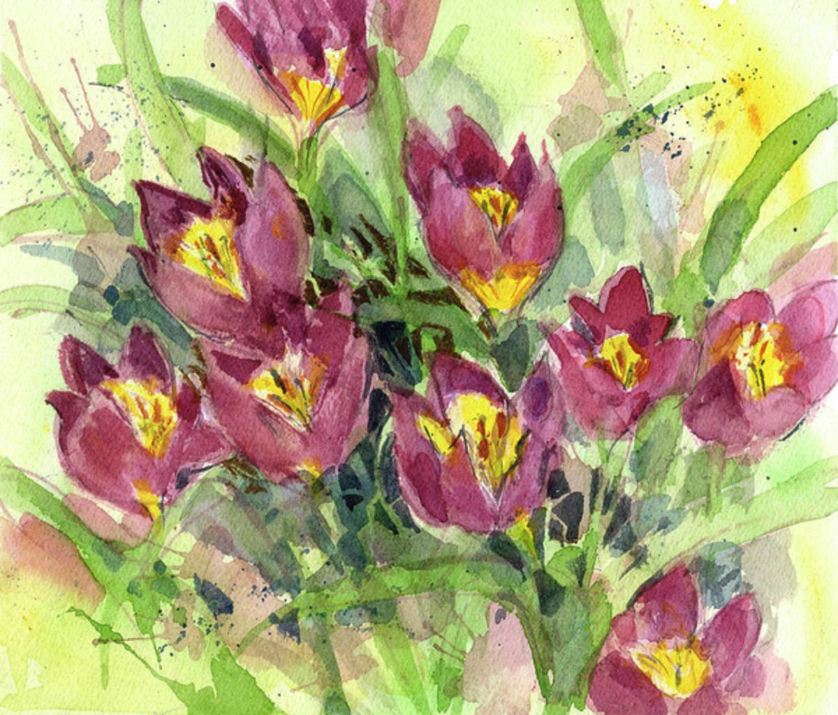Tulipa - Poster | Canvas Wall Art Print