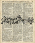 Vintage Birds Dictionary Art - Poster | Canvas Wall Art Print