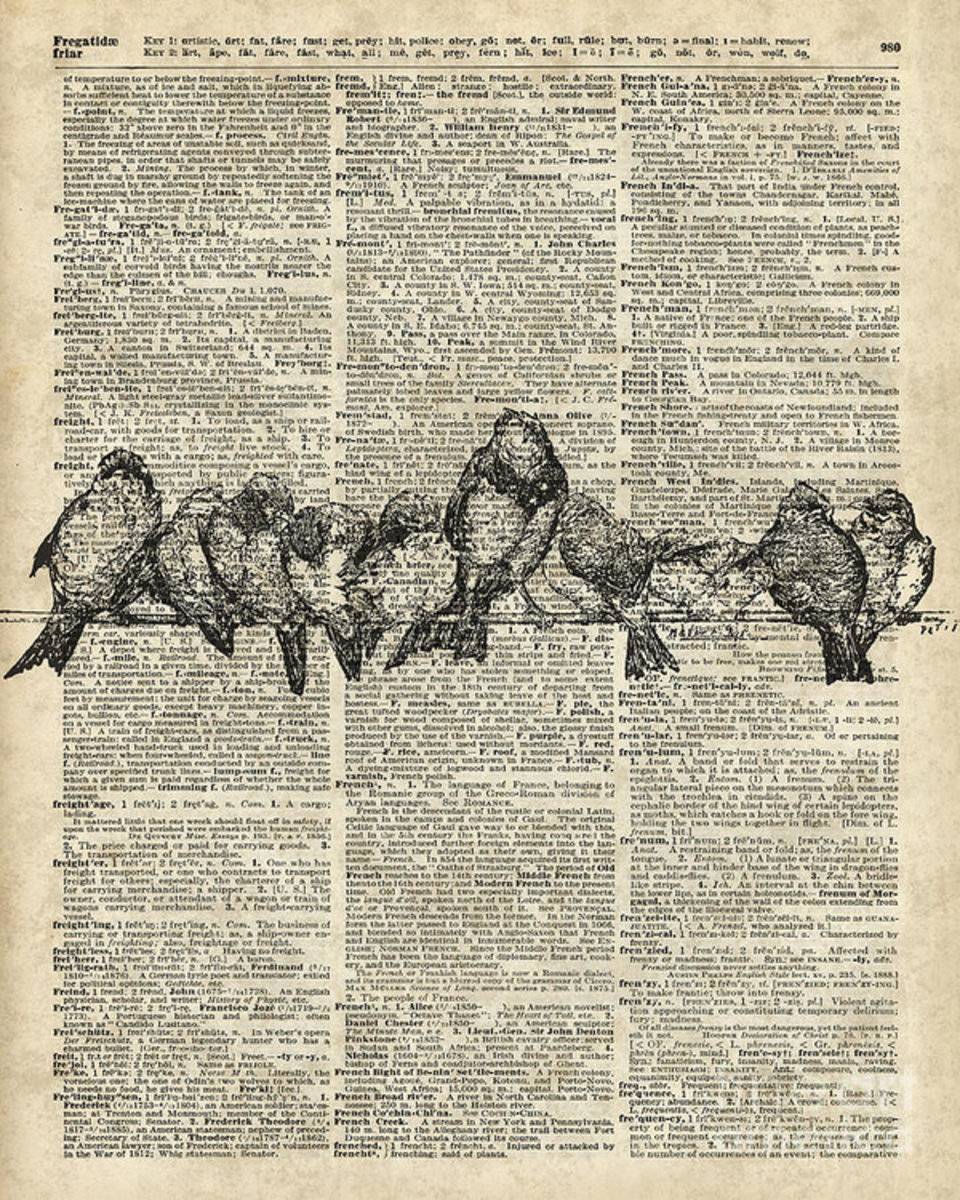 Vintage Birds Dictionary Art - Poster | Canvas Wall Art Print
