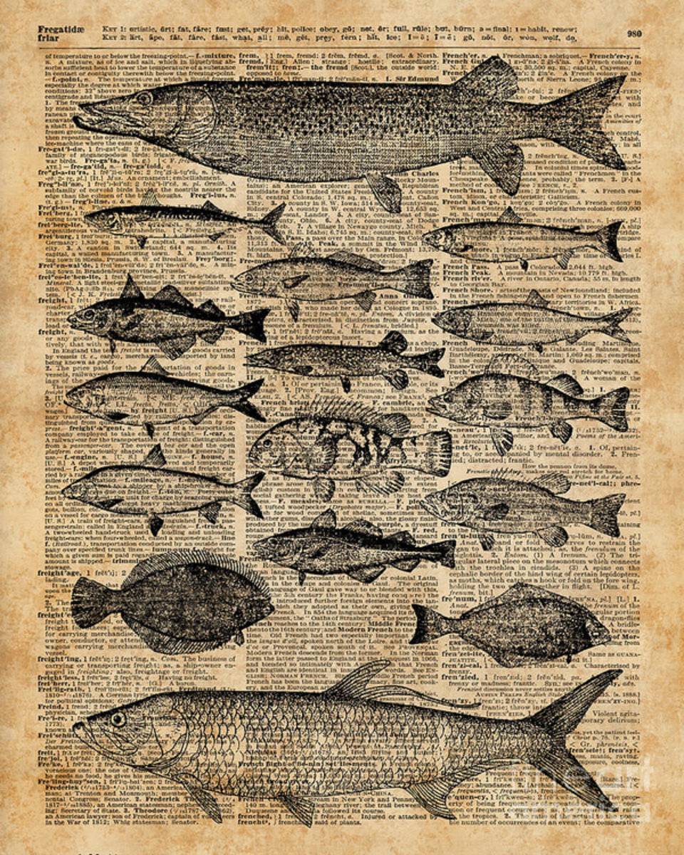 Vintage Illustration Of Fishes Over Old Book Page Dictionary Art Collage - Poster | Canvas Wall Art Print
