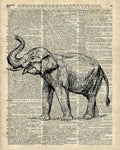Vintage Illustration Of Happy Elephant Over Old Dictionary Book Page - Poster | Canvas Wall Art Print