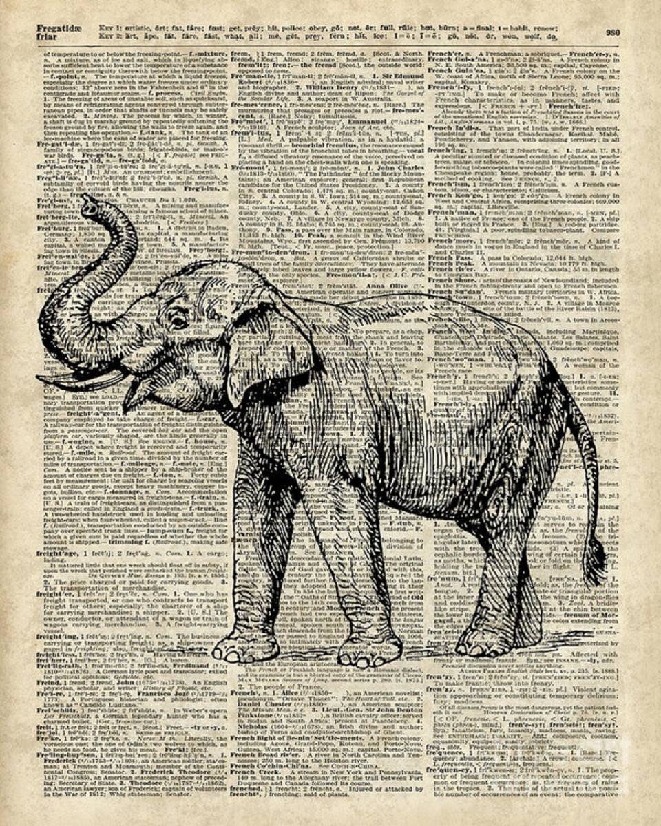 Vintage Illustration Of Happy Elephant Over Old Dictionary Book Page - Poster | Canvas Wall Art Print