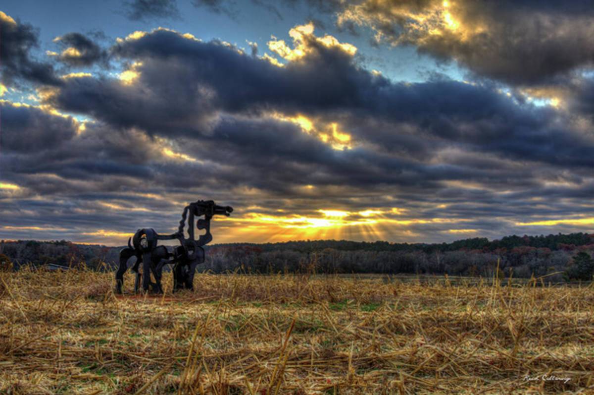 Visible Light The Iron Horse Sunrise Art - Poster | Canvas Wall Art Print