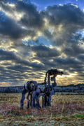 Visible Light The Iron Horse Sunrise Art - Poster | Canvas Wall Art Print