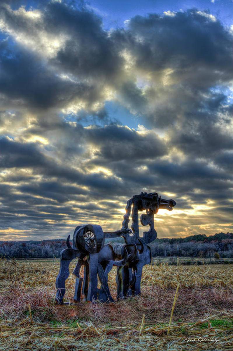 Visible Light The Iron Horse Sunrise Art - Poster | Canvas Wall Art Print