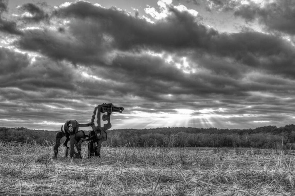 Visible Lights The Iron Horse Sunrise Art - Poster | Canvas Wall Art Print
