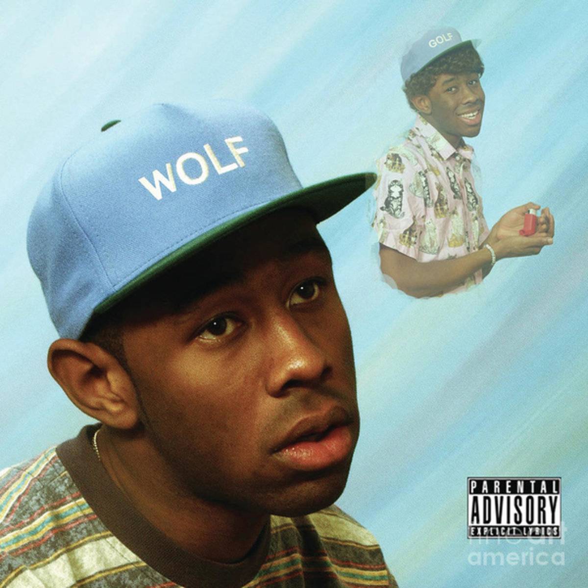 Wolf Tyler The Creator - Poster | Canvas Wall Art Print