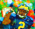 Woodson Owns The Big House - Poster | Canvas Wall Art Print