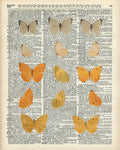 Yellow Butterflies Over Dictionary Book Page - Poster | Canvas Wall Art Print