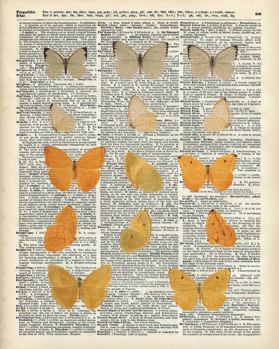Yellow Butterflies Over Dictionary Book Page - Poster | Canvas Wall Art Print
