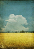 Yellow Field On Old Grunge Paper - Poster | Canvas Wall Art Print