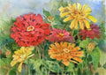 Zinnias - Poster | Canvas Wall Art Print